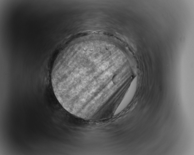 X0000087591350200705181211