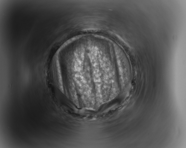 X0000087591351200705181211