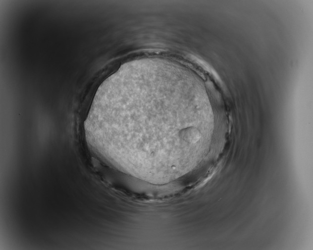 X0000087591352200705181211