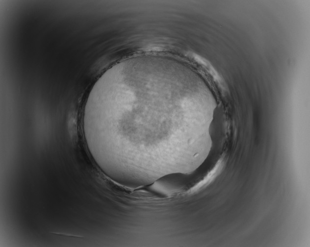 X0000087591353200705181211