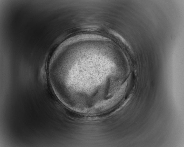 X0000087591354200705181211