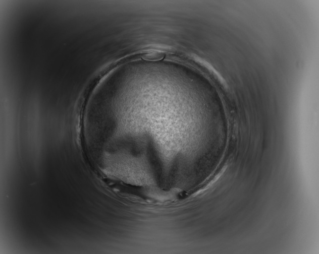 X0000087591355200705181211