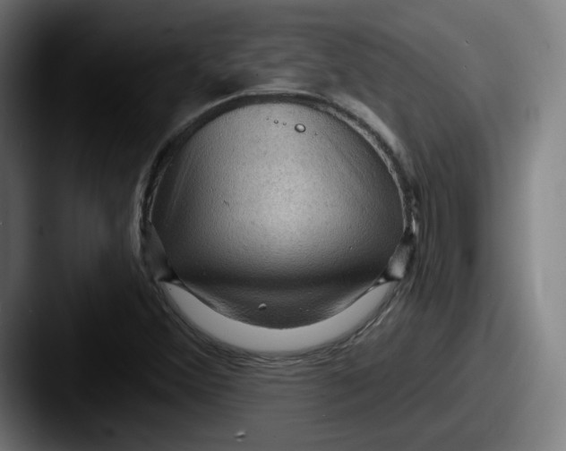 X0000087591356200705181211