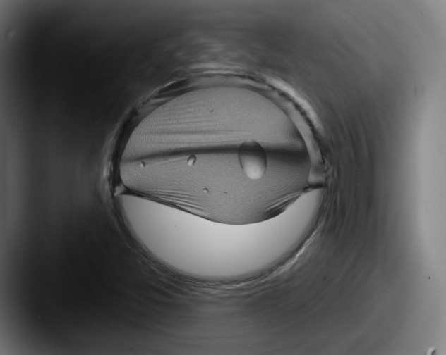 X0000087591357200705181211