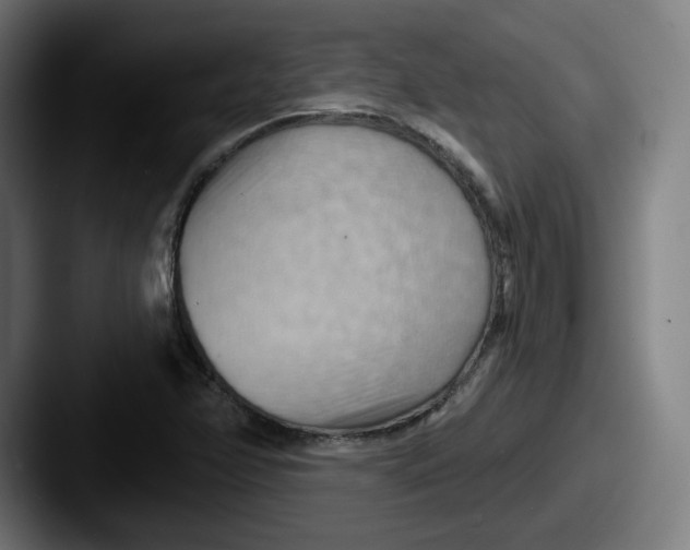 X0000087591358200705181211