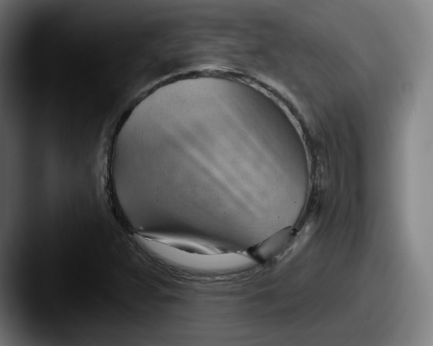 X0000087591359200705181211