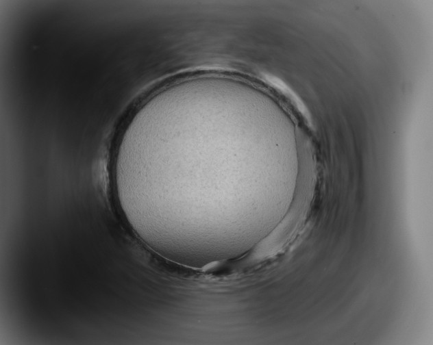 X0000087591360200705181211