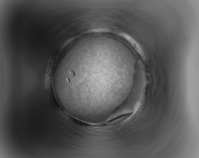 X0000087591361200705181211