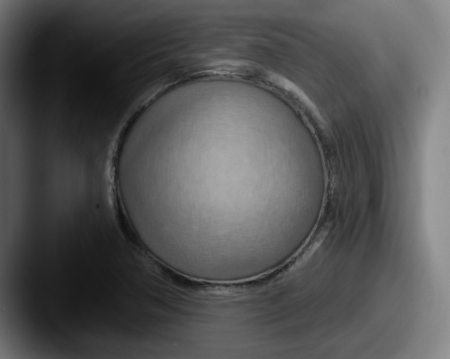 X0000087591362200705181211