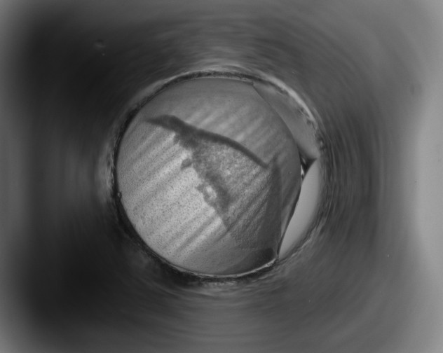 X0000087591363200705181211