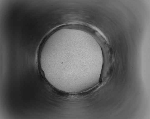 X0000087591364200705181211