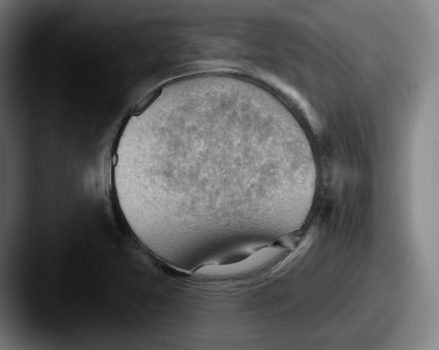 X0000087591365200705181211