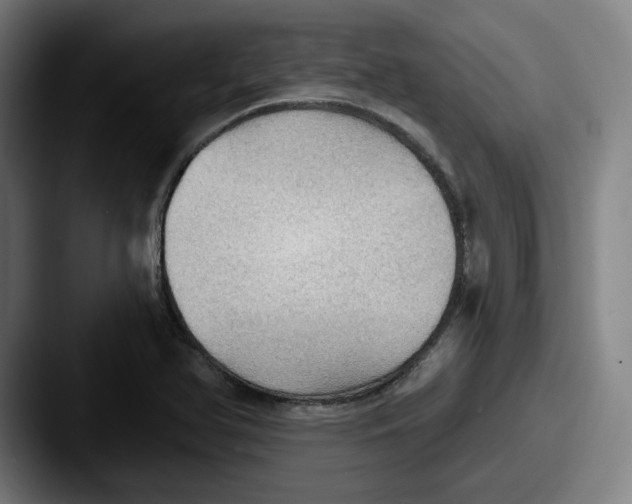 X0000087591366200705181211