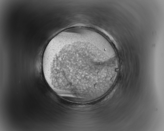 X0000087591367200705181211