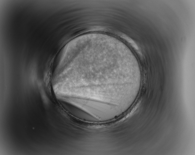 X0000087591369200705181211