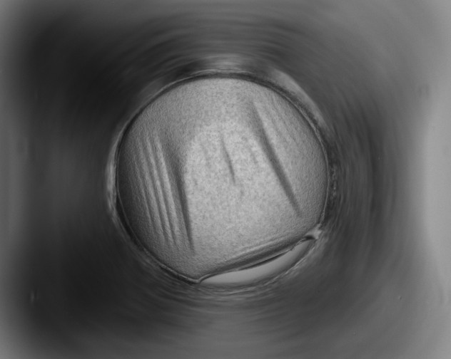 X0000087591370200705181211