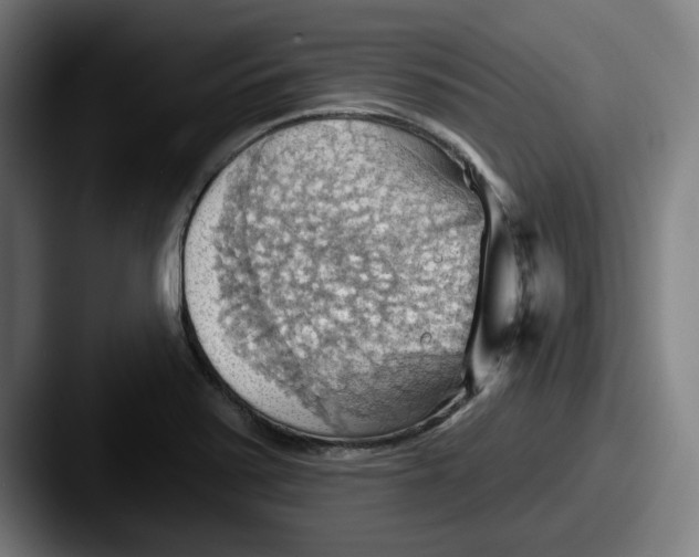 X0000087591371200705181211