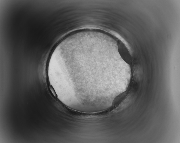 X0000087591372200705181211