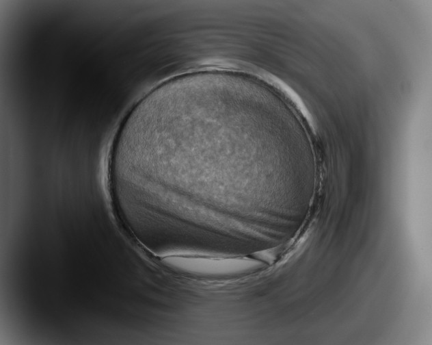 X0000087591373200705181211