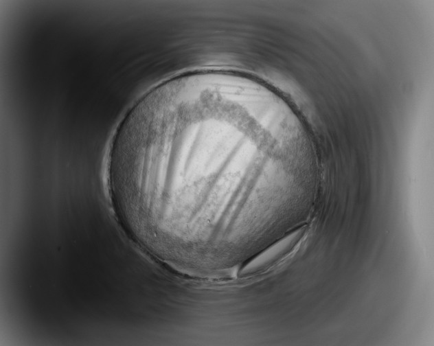 X0000087591374200705181211