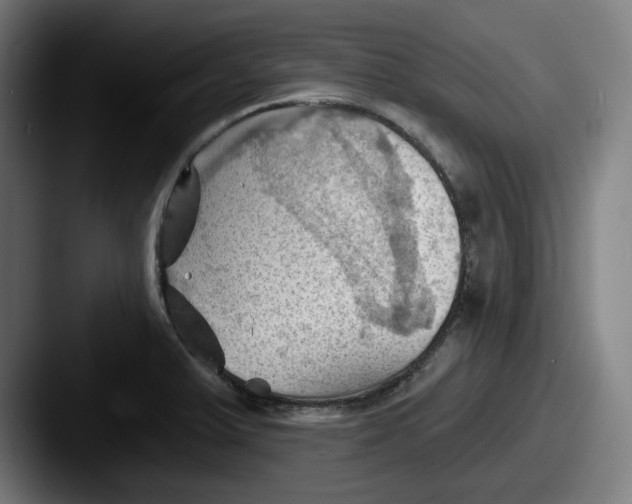 X0000087591375200705181211