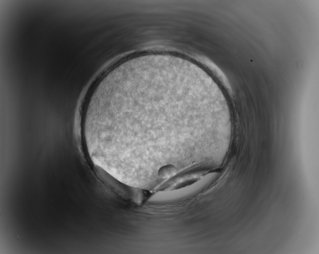 X0000087591376200705181211