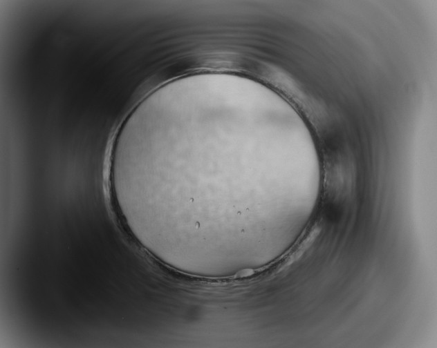 X0000087591378200705181211