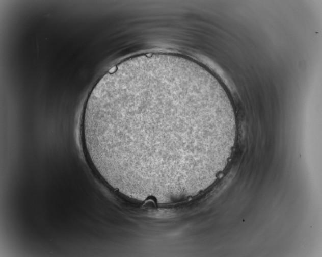 X0000087591379200705181211