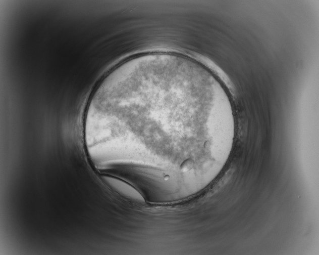 X0000087591380200705181211