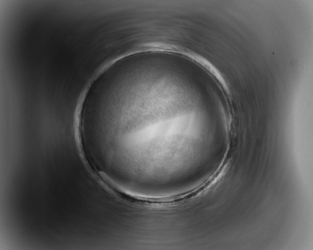 X0000087591381200705181211