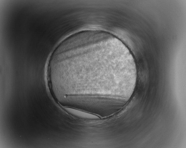 X0000087591382200705181211