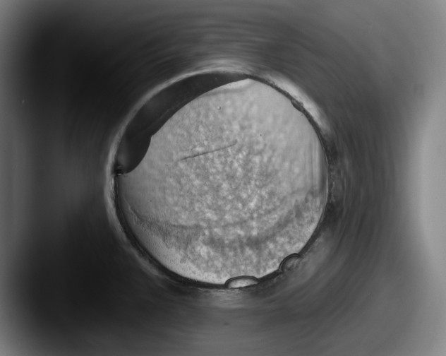 X0000087591383200705181211