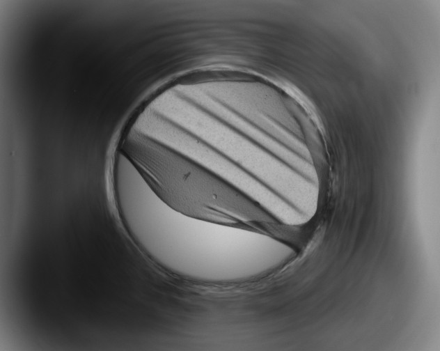 X0000087591384200705181211