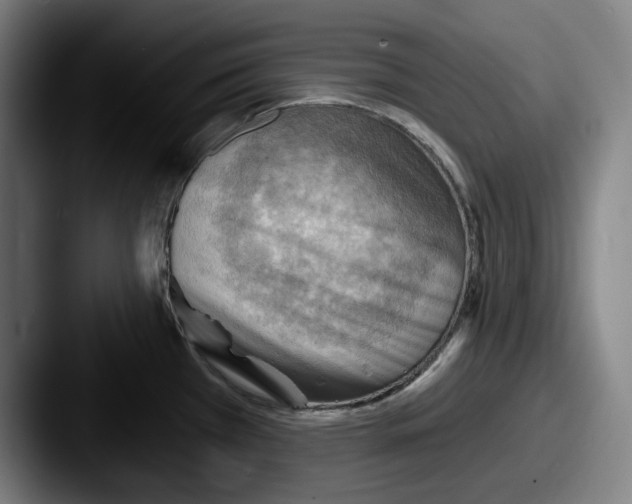 X0000087591385200705181211