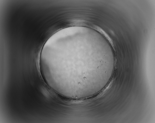 X0000087591386200705181211