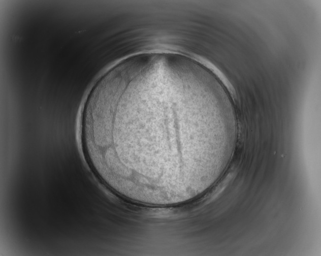 X0000087591387200705181211