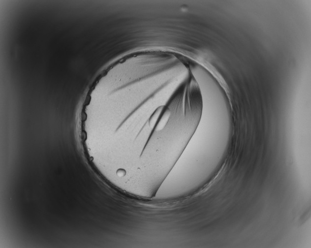 X0000087591388200705181211