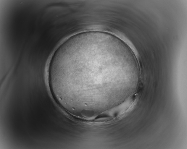 X0000087591389200705181211