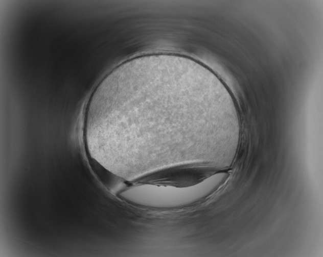 X0000087591390200705181211