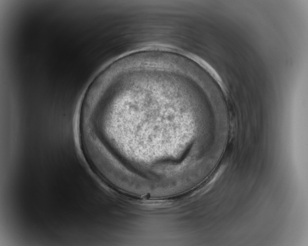 X0000087591391200705181211