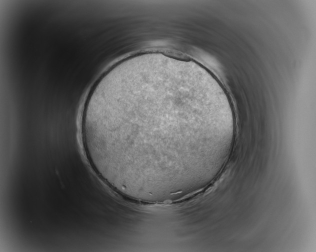 X0000087591392200705181211