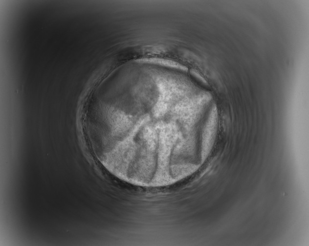 X0000087591393200705181210