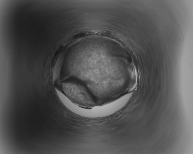 X0000087591394200705181210