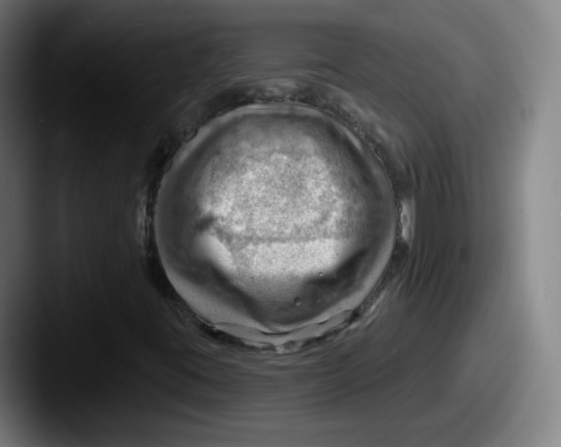 X0000087591395200705181210