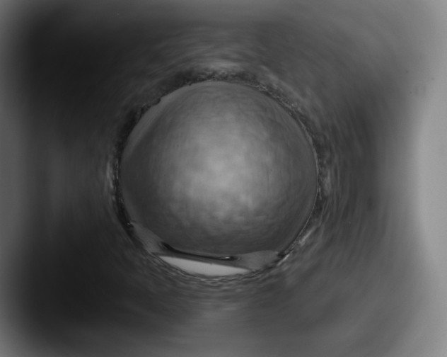 X0000087591397200705181210