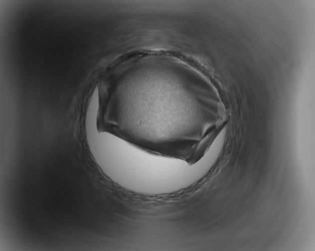 X0000087591398200705181210