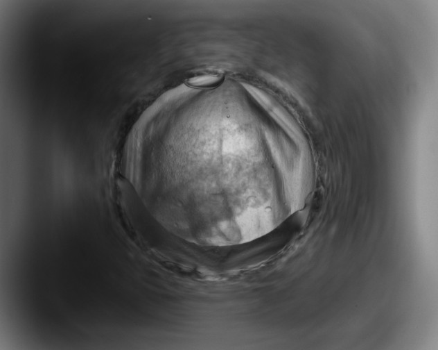 X0000087591399200705181210