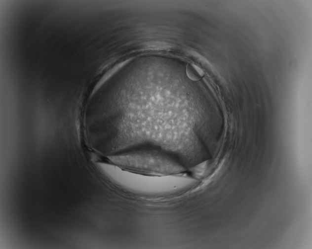 X0000087591401200705181211