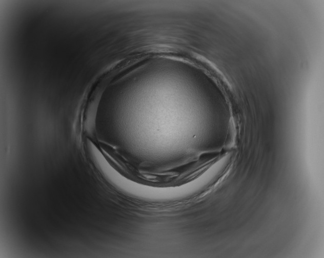 X0000087591402200705181211