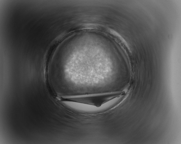 X0000087591403200705181211